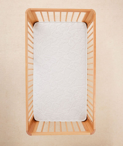 Lyra Convertible Cot and Mattress Pack