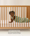 Product feature graphic showing a baby on their stomach in a green Sleeping Bag, with text explaining the side-zip feature for tummy sleepers.