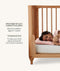 Organic Toddler Pillow and Case Caramel Grid