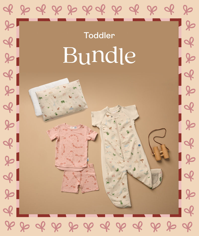 Toddler Gifting Bundle
