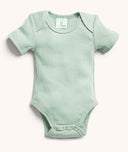 Bodywear Ss Bodysuit Sage