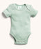 Bodywear Ss Bodysuit Sage