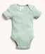 Bodywear Ss Bodysuit Sage