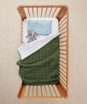 Quilted Coverlet 3.5 TOG Hunter Stripe flatlay