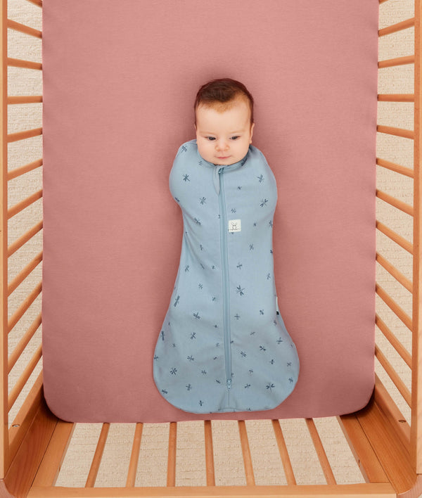 Cocoon Swaddle Bag 1.0 TOG Dragonflies