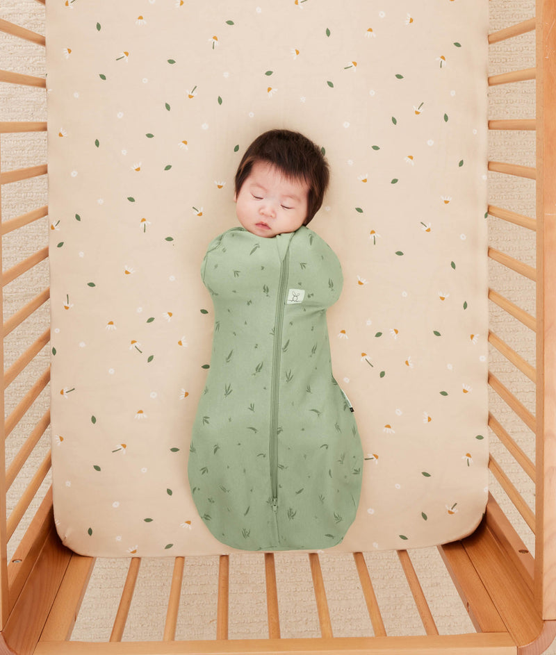Summer Cocoon Swaddle Pack