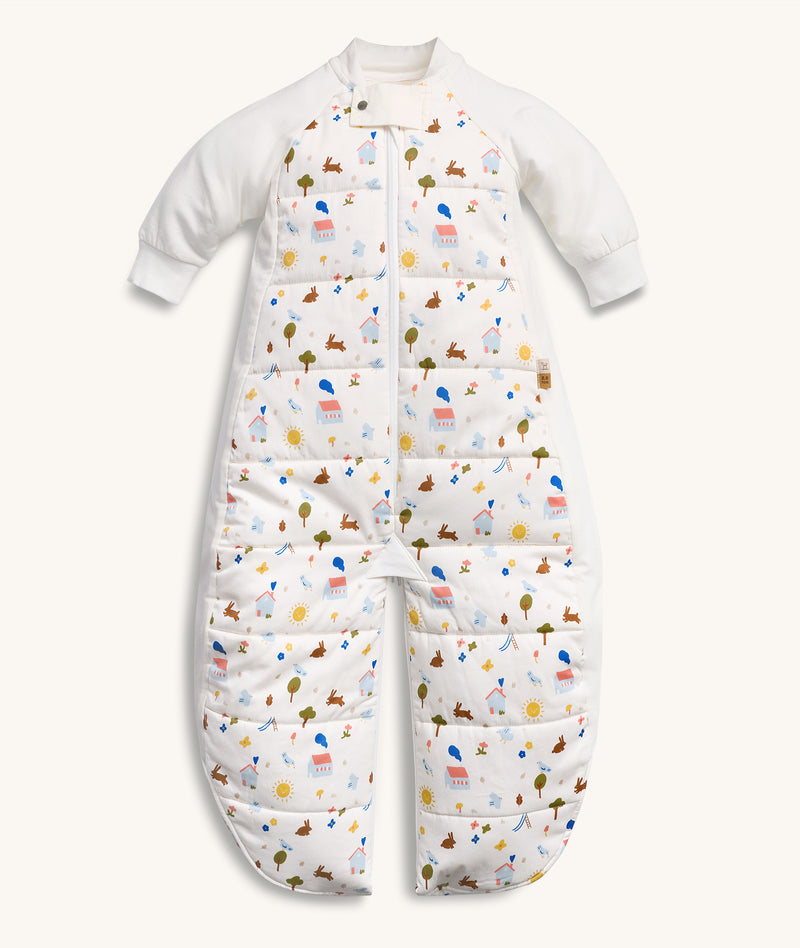 Sleep Suit Bag 2.5 TOG Daydream