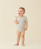 Epbs 0.2 Grey Marle 1