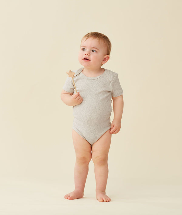 Epbs 0.2 Grey Marle 1