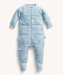 Heritage23 Sleeponesie 2.5T Dragonflies Front