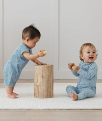 Lslayer Sslayer Dragonflies Infant 1