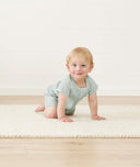 Ss Layer Sage Infant Crawling