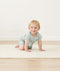 Ss Layer Sage Infant Crawling