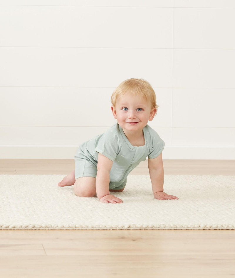 Ss Layer Sage Infant Crawling