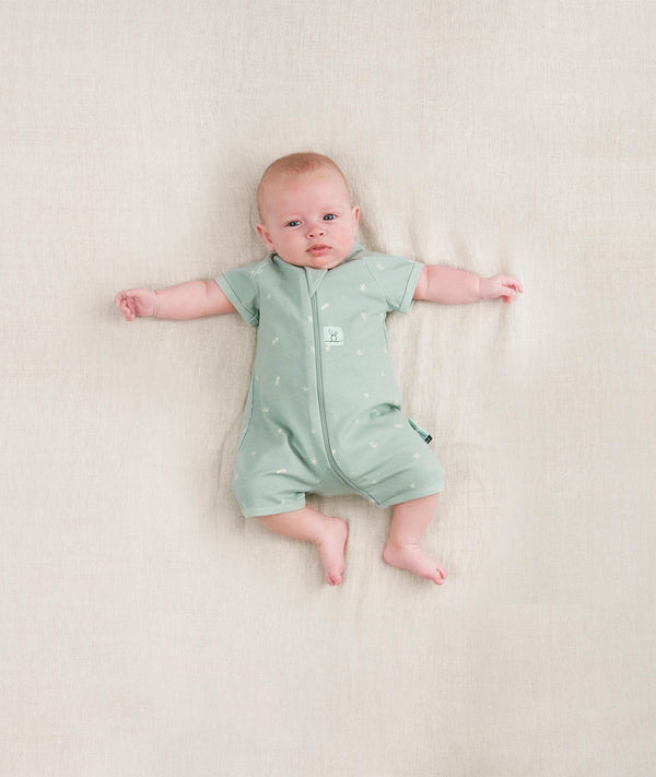 Ss Layer Sage Newborn