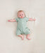 Ss Layer Sage Newborn
