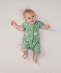 Ss Layer Sweetorchard Newborn