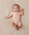 Sslayer Daisies Newborn