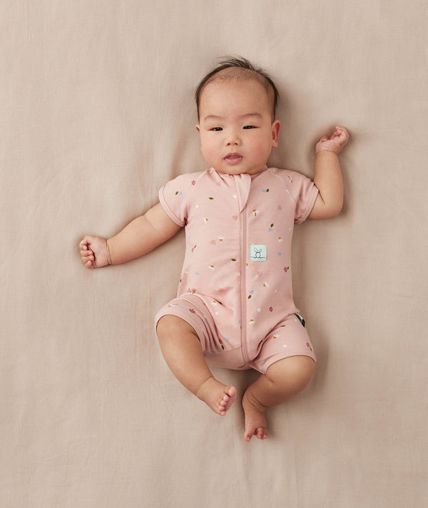 Sslayer Daisies Newborn