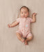 Sslayer Daisies Newborn