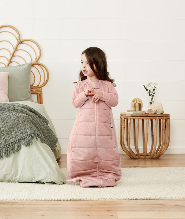 Sleep Suit Bag 2.5Tog Berries Bag Standing