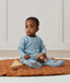 Sleeponesie 2.5T Dragonflies Infant Sitting