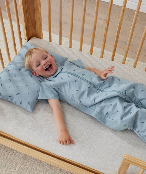 Sleepsuitbag 1.0T Dragonflies Suit Toddler 3