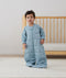 Sleepsuitbag 2.5T Dragonflies Suit Toddler
