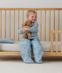 Sleepsuitbag 2.5T Dragonflies Suit Toddler 2