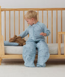 Sleepsuitbag 2.5T Dragonflies Suit Toddler 3