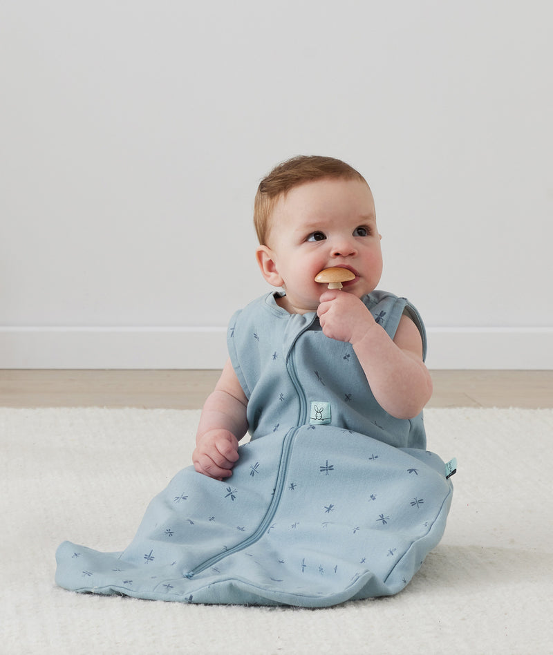 Infant sitting upright wearing a blue dragonfly-patterned sleeping bag