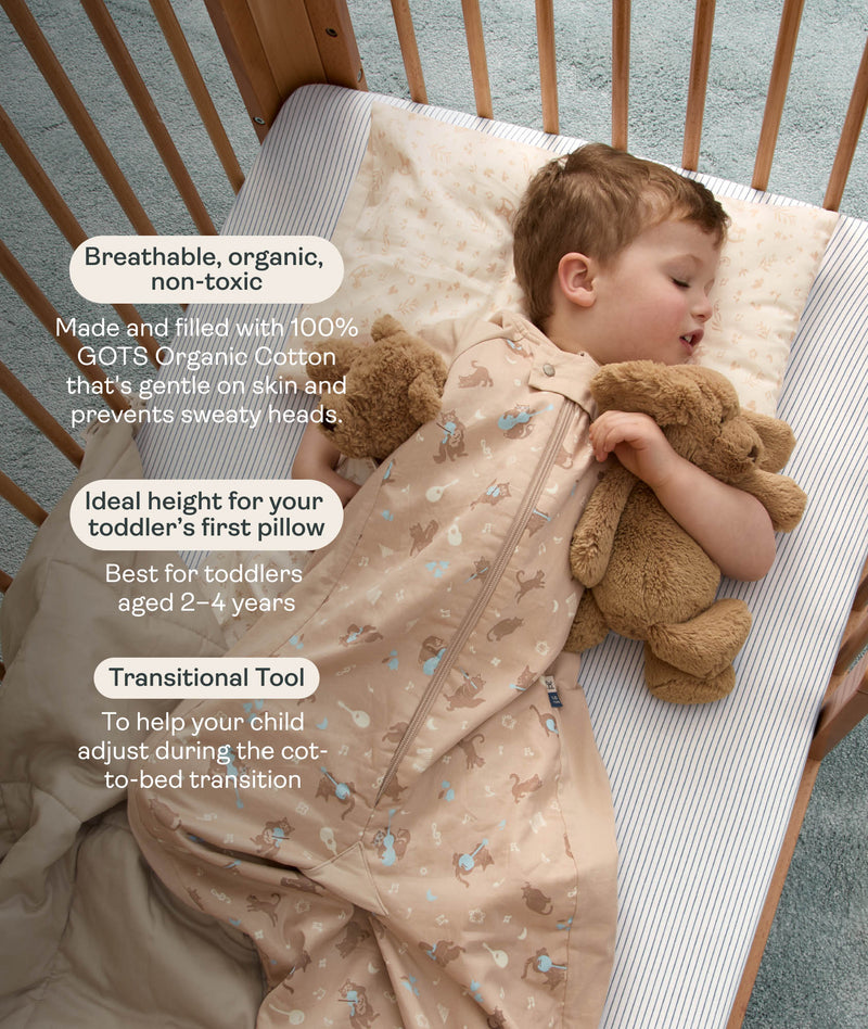 Sleeping toddler resting on a patterned organic cotton toddler pillow, with text highlighting breathable material, ideal height, and cot-to-bed transition features.