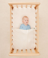 Tucksheet Fittedsheet Bassinet Caramelgrid Cocoon 1.0T Dragonflies