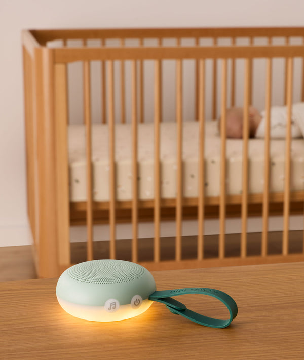 Infant Travel Essentials