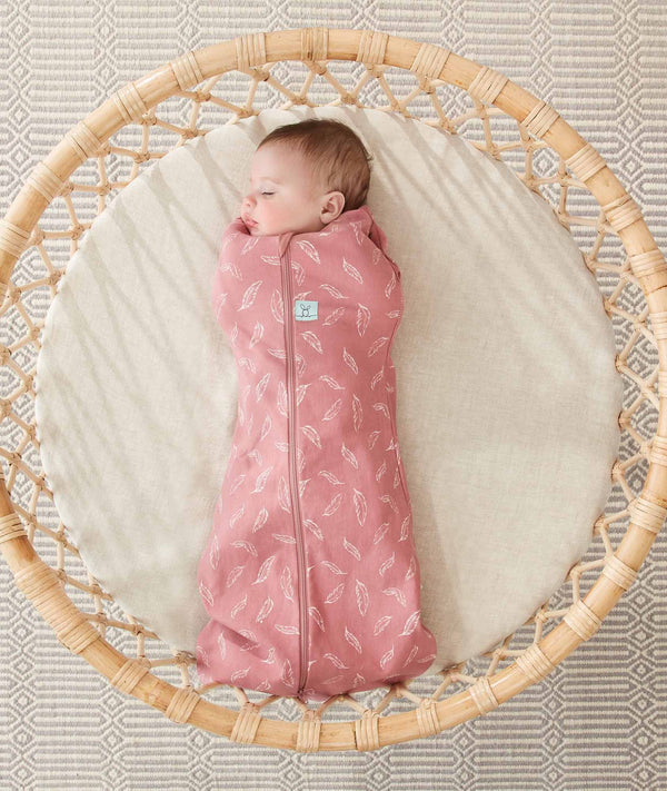 Cocoon Quill02 2