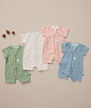 Flatlay Sslayer Heritage23