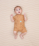 Ss Layer Honeybees Newborn