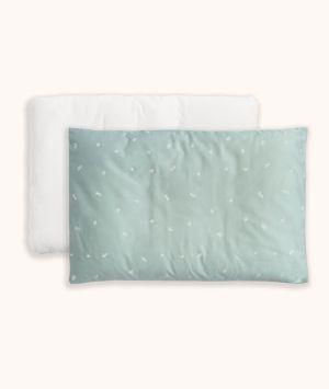 Organic Toddler Pillow with Case